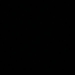 Meet your Posher, Ivy